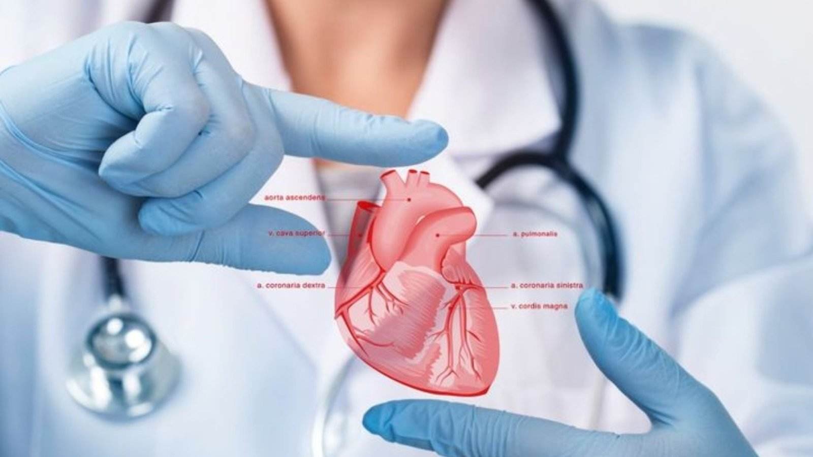 Cardiology & Cardiothoracic Surgery