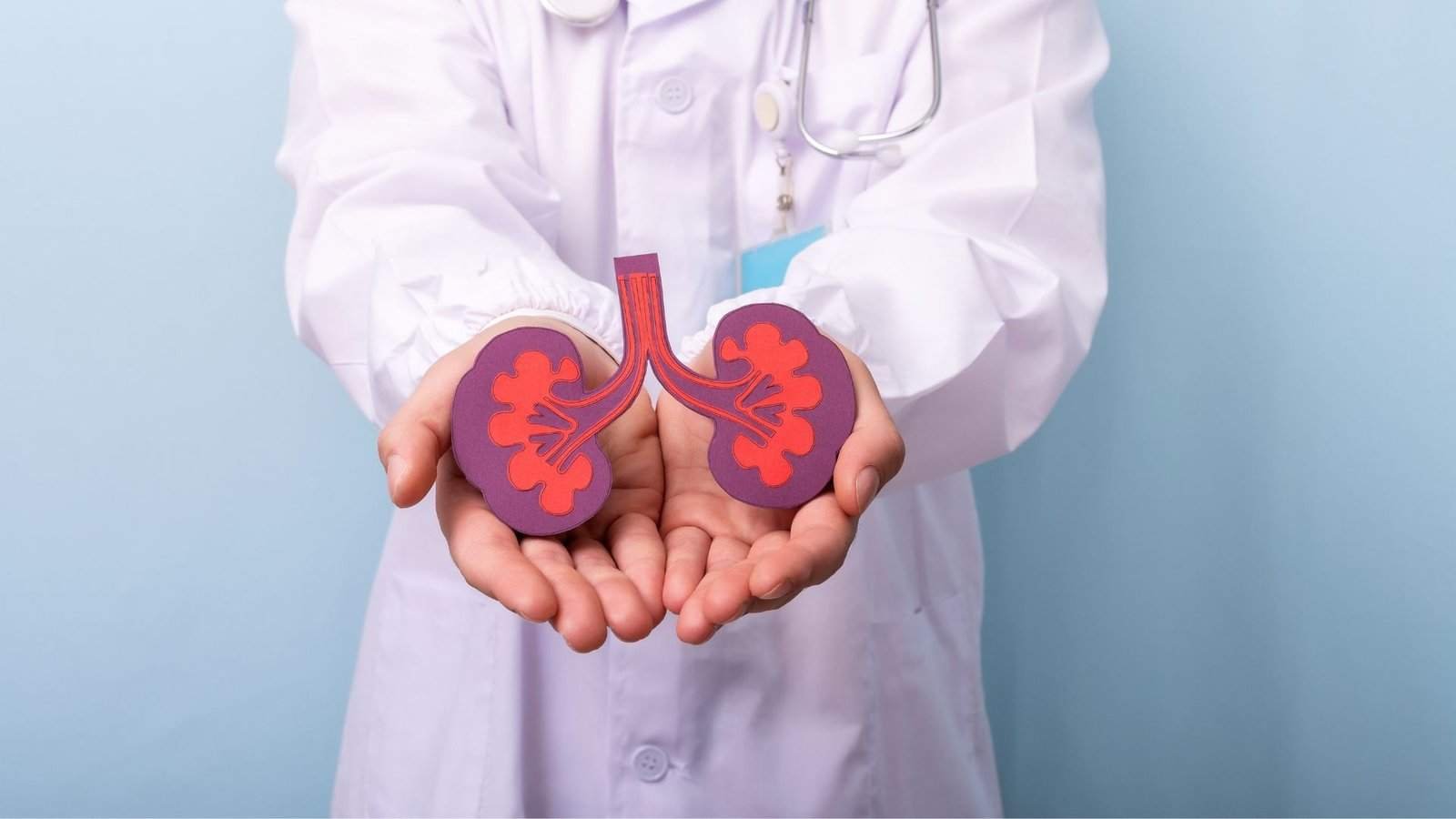 Nephrology & Urology